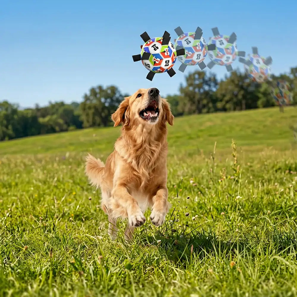 Dog Soccer Ball with Straps Interactive Dog Toy