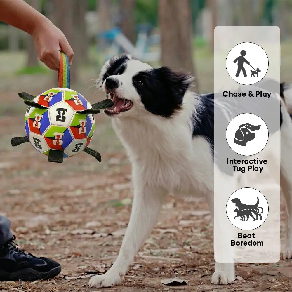 Dog Soccer Ball with Straps Interactive Dog Toy