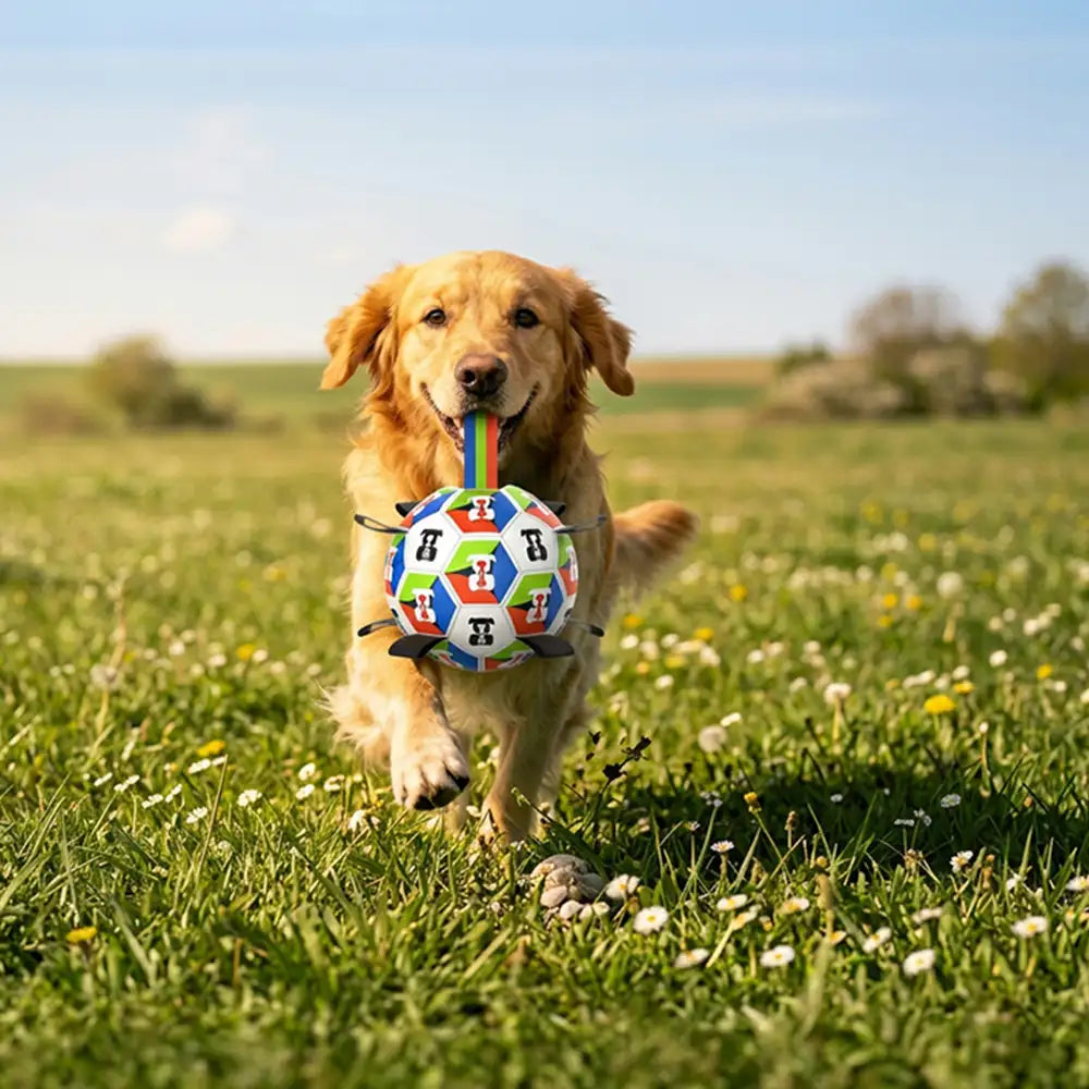 Dog Soccer Ball with Straps Interactive Dog Toy
