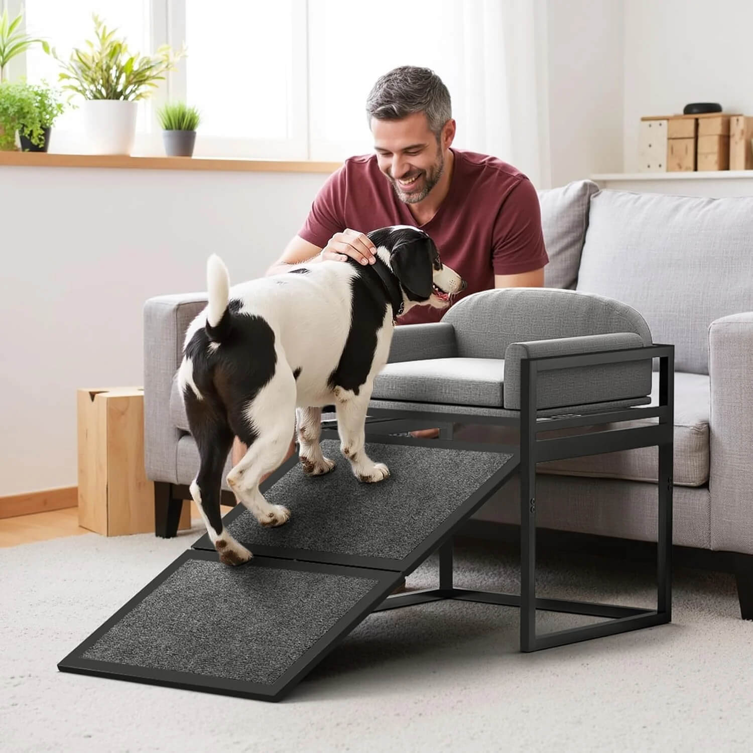 Elevated Pet Sofa Bed with Steps Ramp for Bedside Lounge or Dog Window Perch