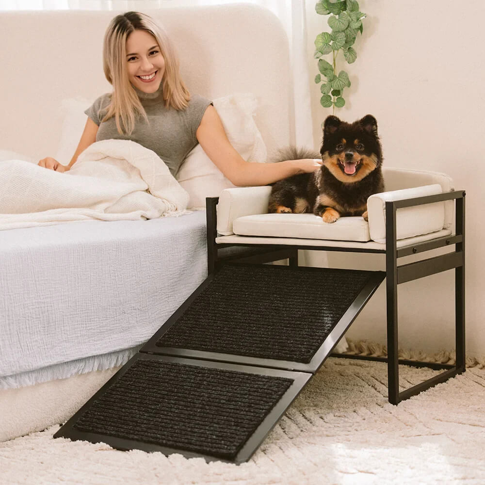 Elevated Pet Sofa Bed with Steps Ramp for Bedside Lounge or Dog Window Perch