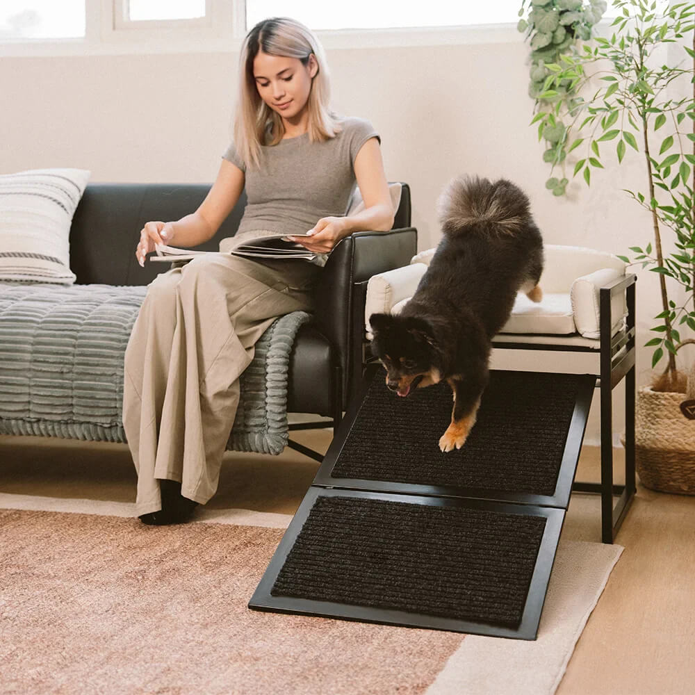Elevated Pet Sofa Bed with Steps Ramp for Bedside Lounge or Dog Window Perch
