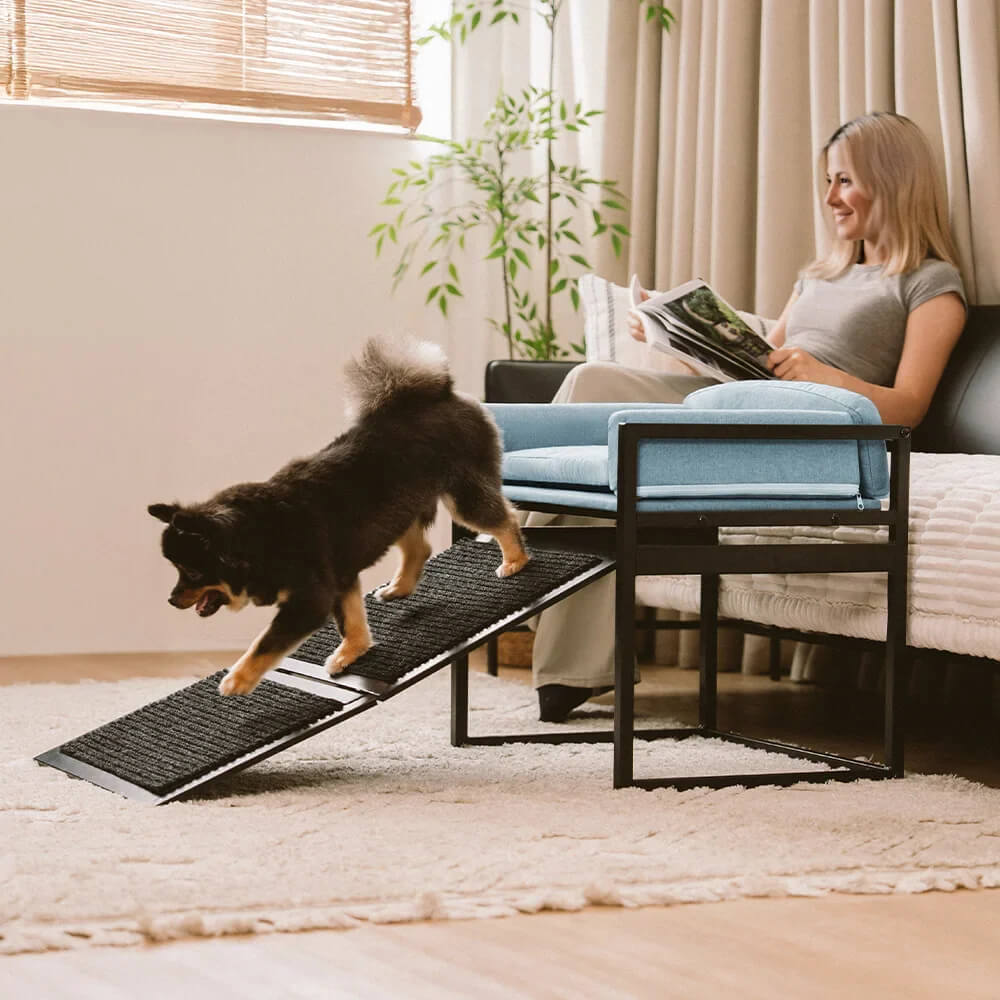 Elevated Pet Sofa Bed with Steps Ramp for Bedside Lounge or Dog Window Perch