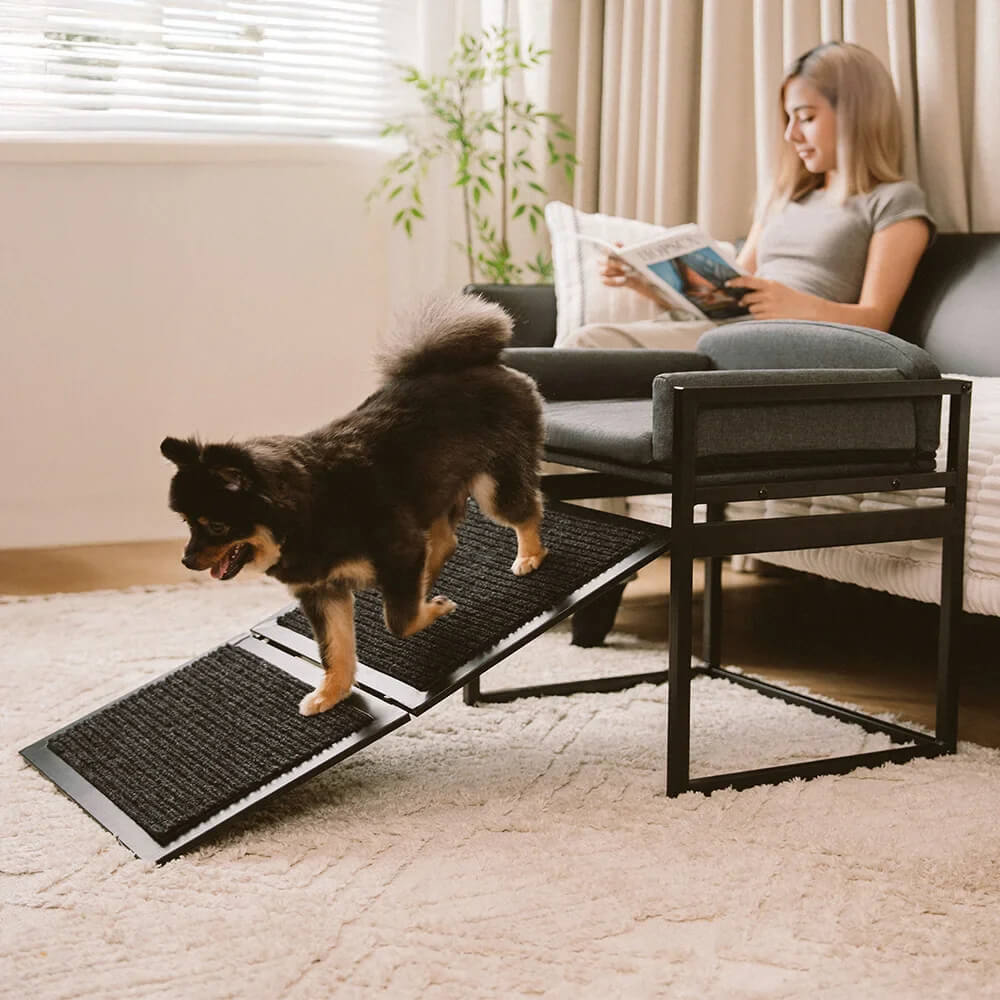 Elevated Pet Sofa Bed with Steps Ramp for Bedside Lounge or Dog Window Perch