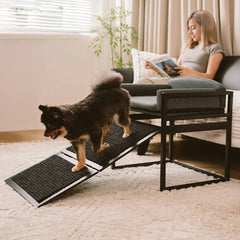 Elevated Pet Sofa Bed with Steps Ramp for Bedside Lounge or Dog Window Perch