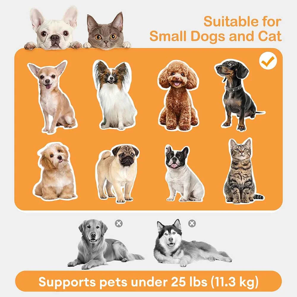 Elevated Pet Sofa Bed with Steps Ramp for Bedside Lounge or Dog Window Perch