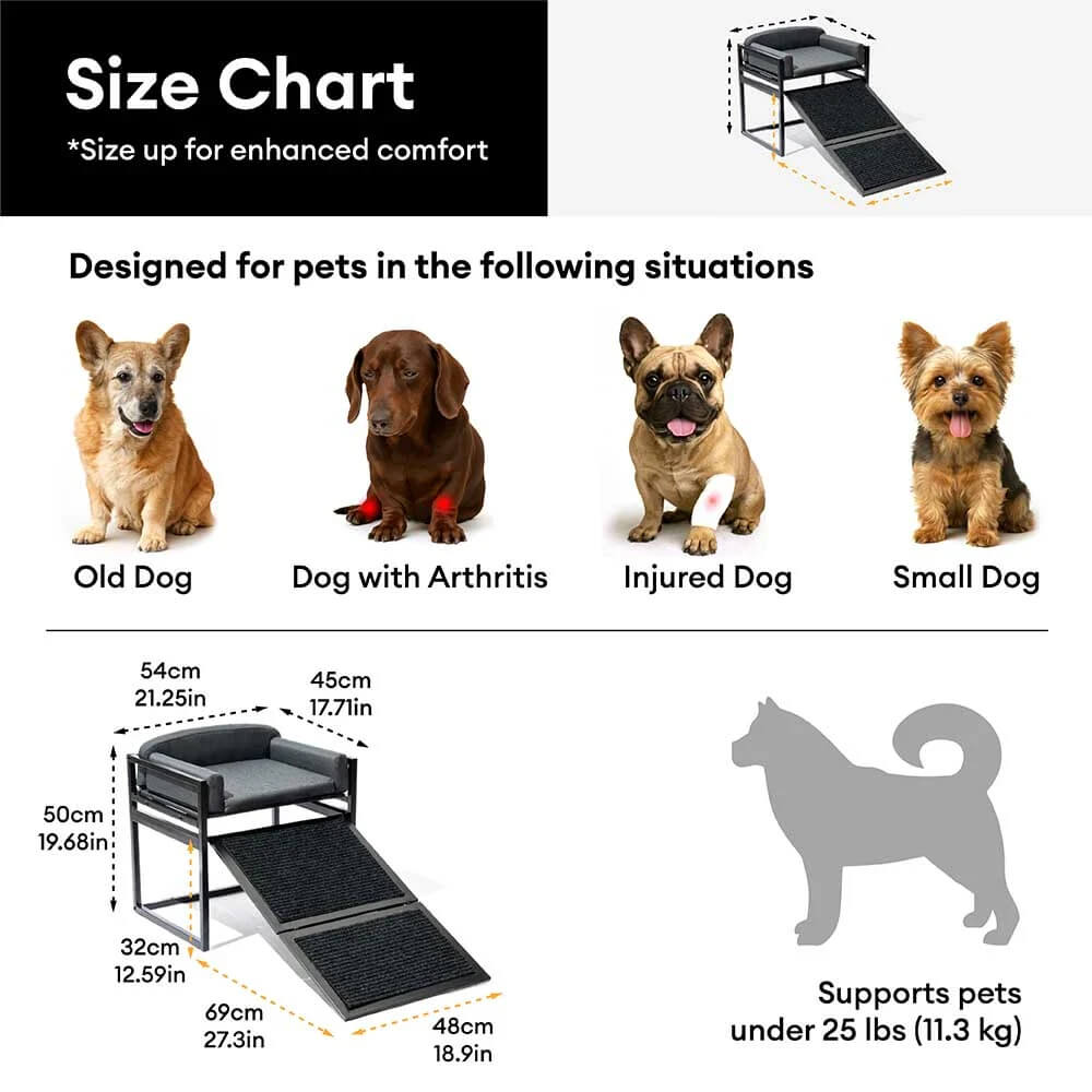 Elevated Pet Sofa Bed with Steps Ramp for Bedside Lounge or Dog Window Perch