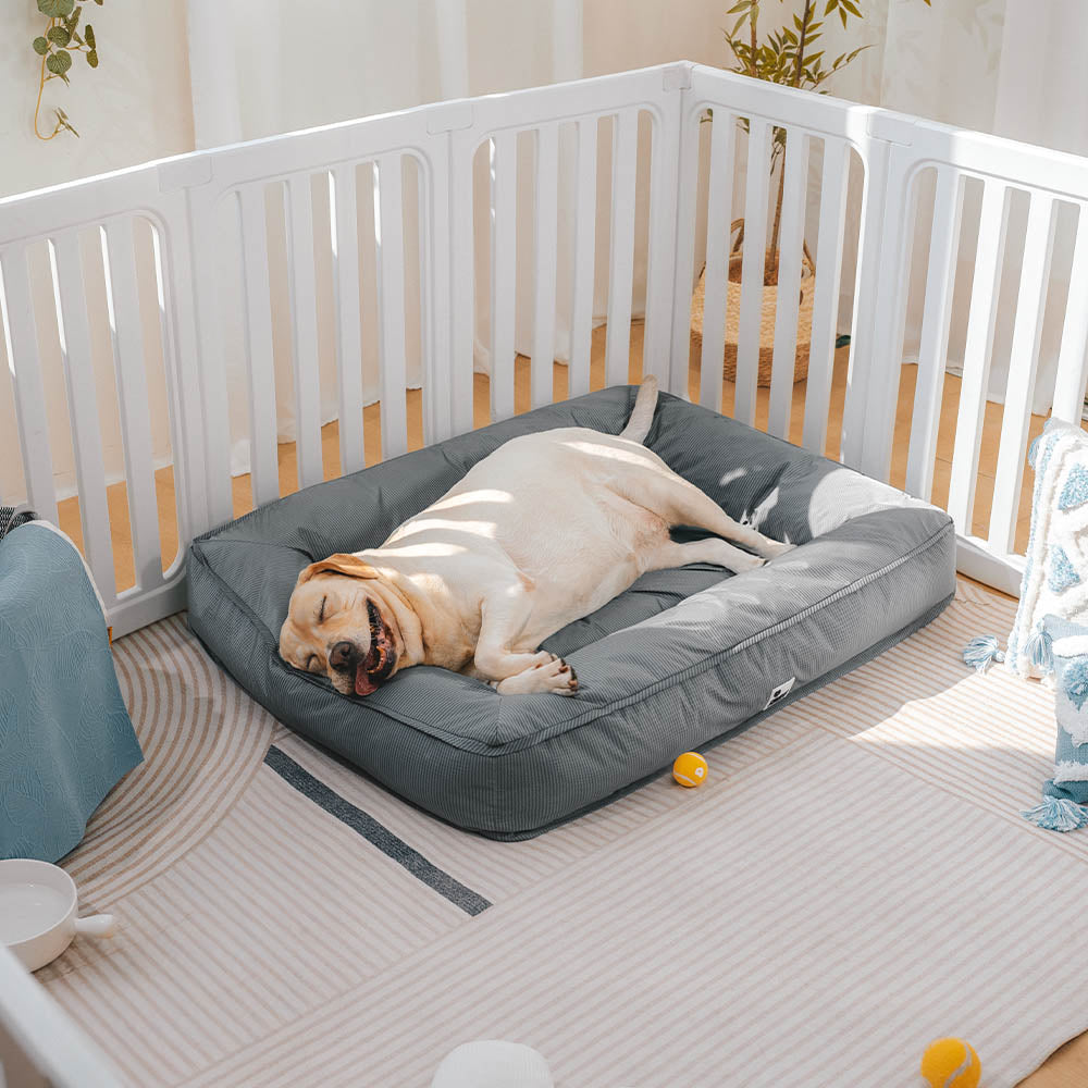 Fully Orthopedic Surround Support Waterproof Large Dog Bed - Pet-Friendly Bedroom