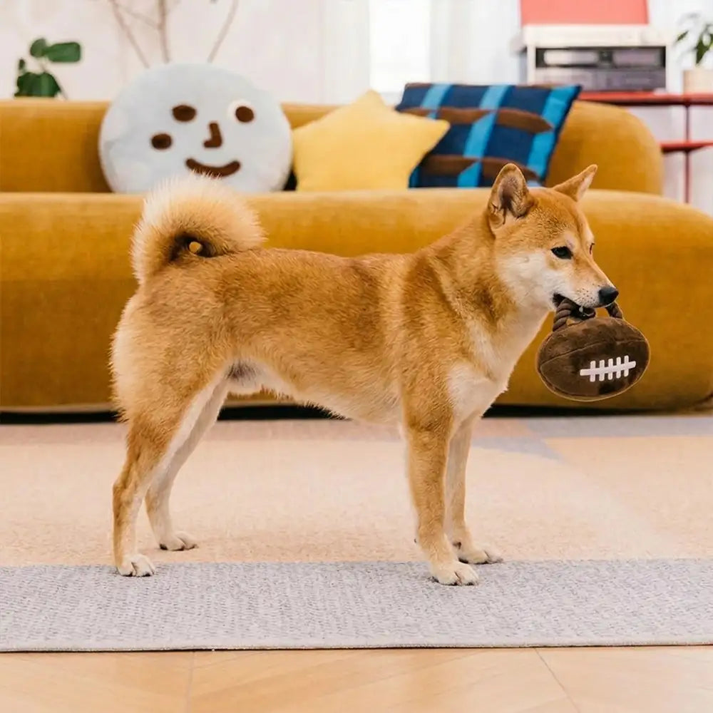 Fun Balls Dog Rope Dog Chew Toy