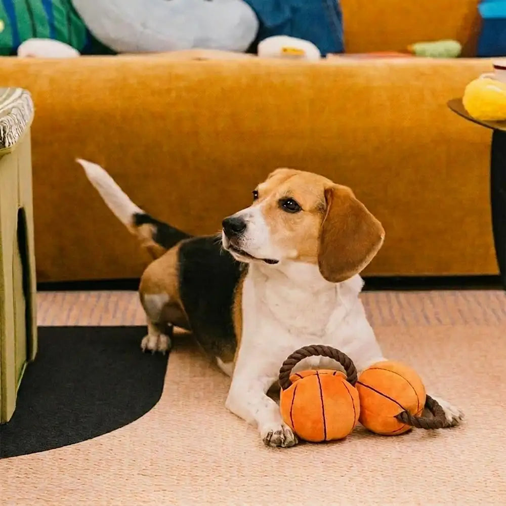 Fun Balls Dog Rope Dog Chew Toy