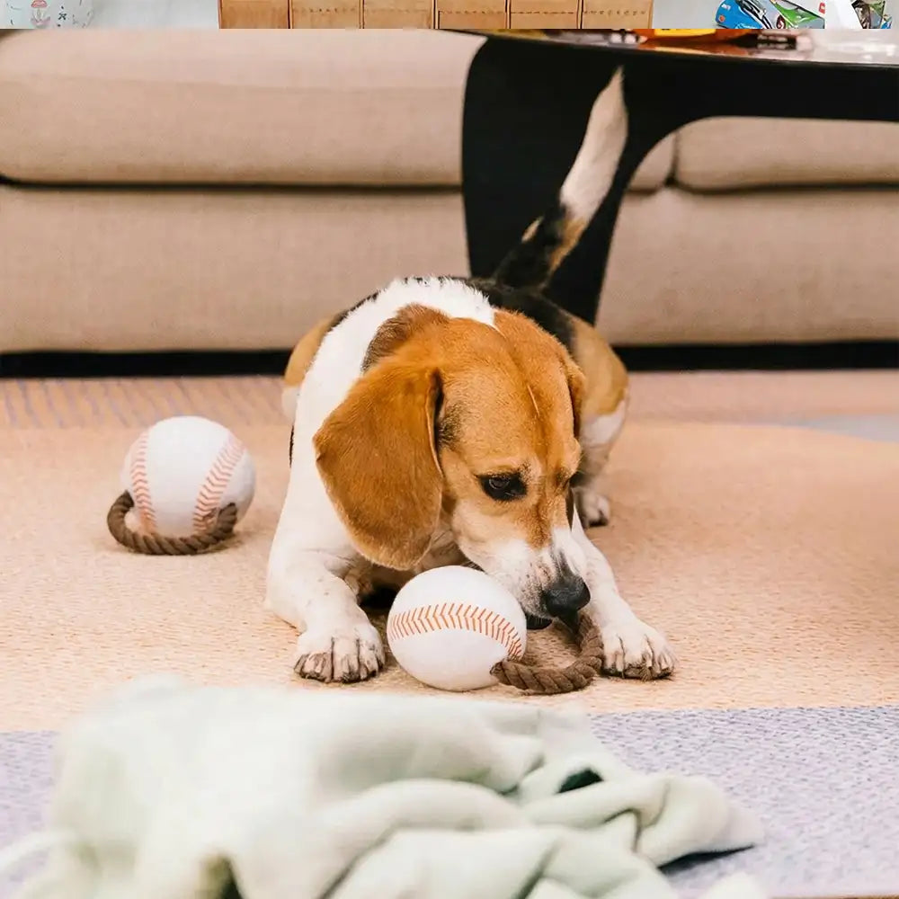 Fun Balls Dog Rope Dog Chew Toy