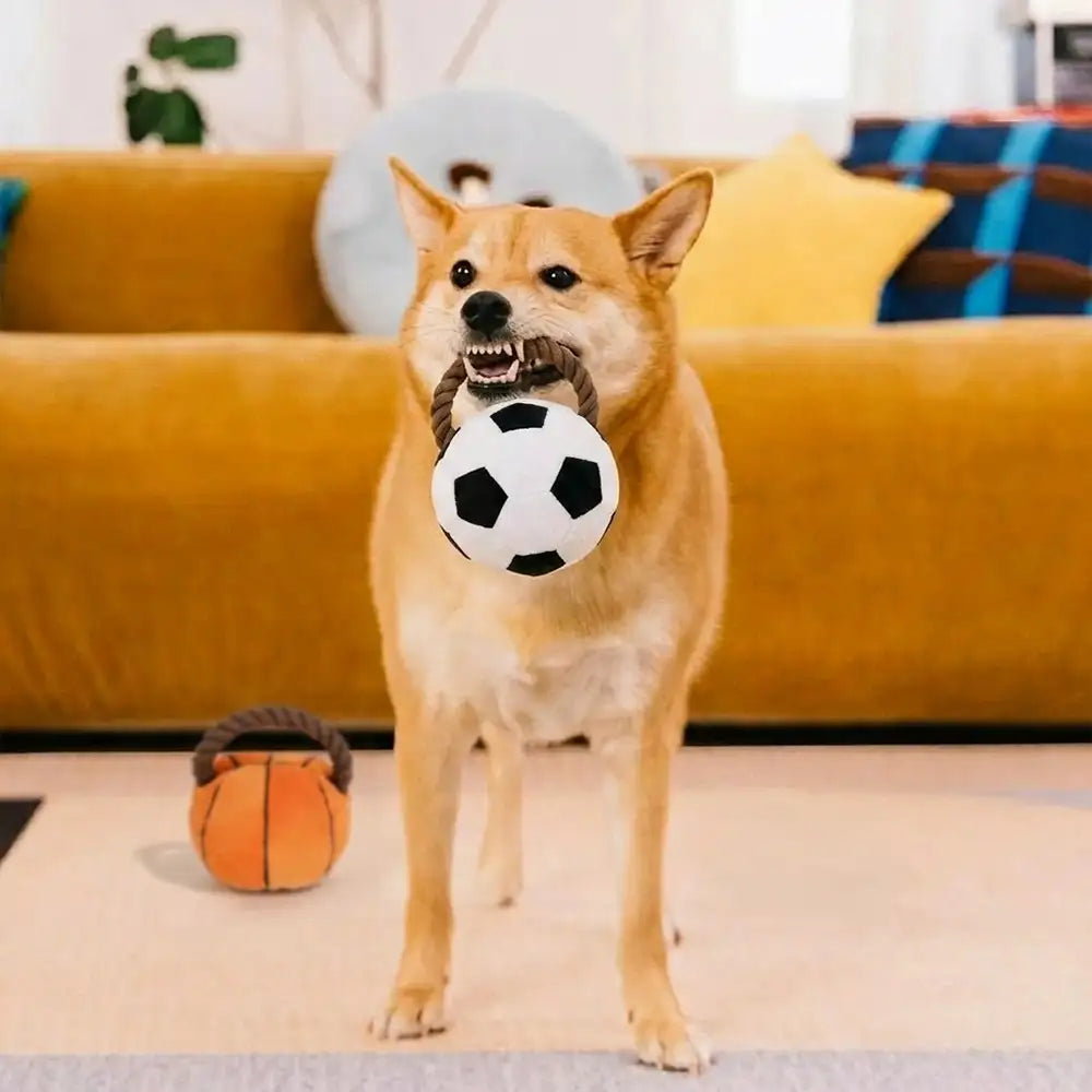Fun Balls Dog Rope Dog Chew Toy