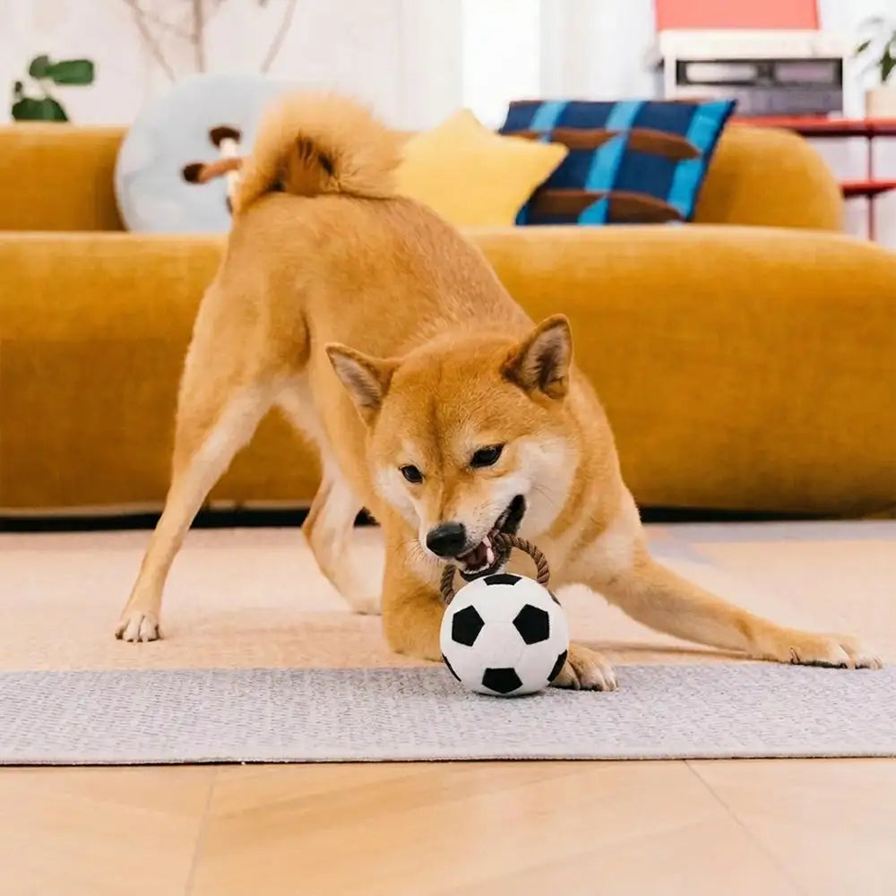 Fun Balls Dog Rope Dog Chew Toy