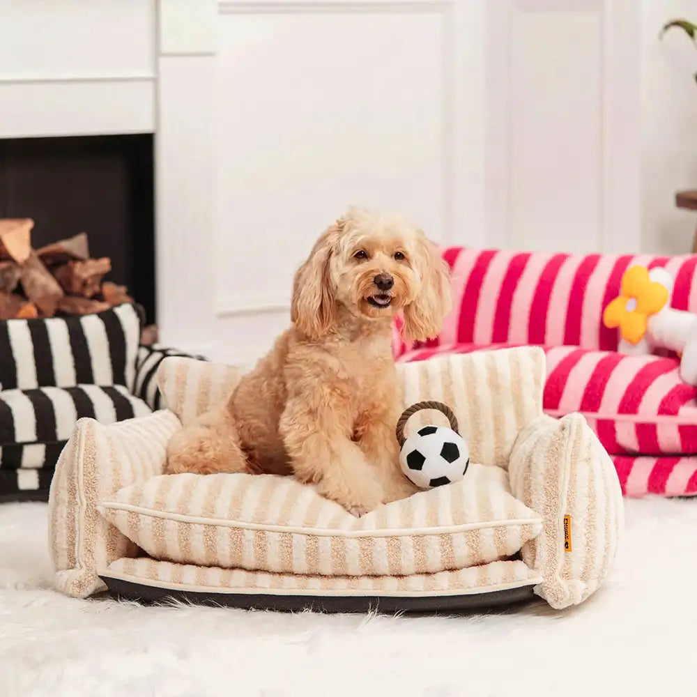 Fun Balls Dog Rope Dog Chew Toy