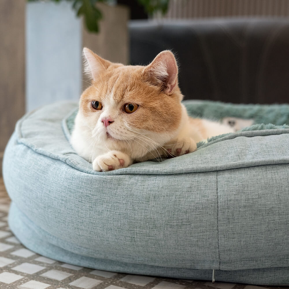Orthopaedic Machine Washable Dog Bed Calming Bed - Donut