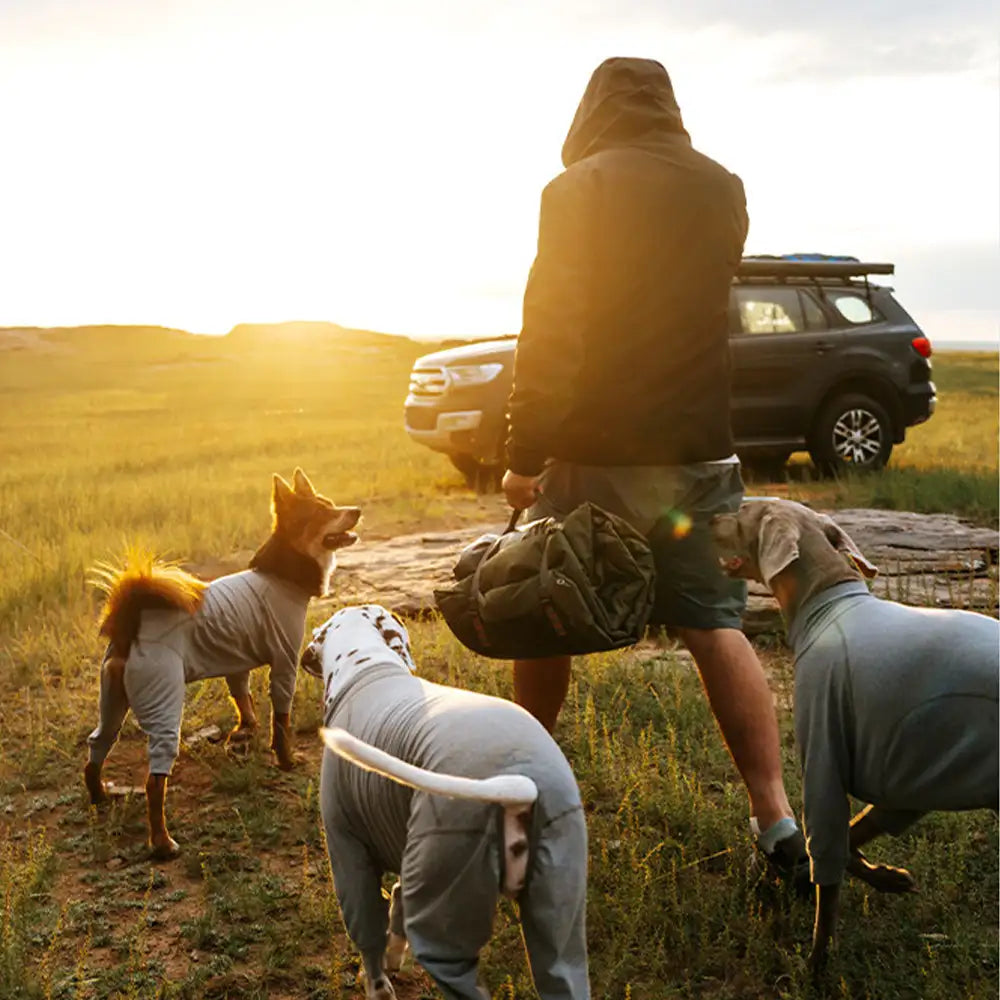 Outdoor Campsite Moisture-Proof And Waterproof Portable Dog Bed Mat