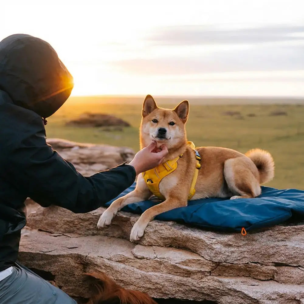 Outdoor Campsite Moisture-Proof And Waterproof Portable Dog Bed Mat