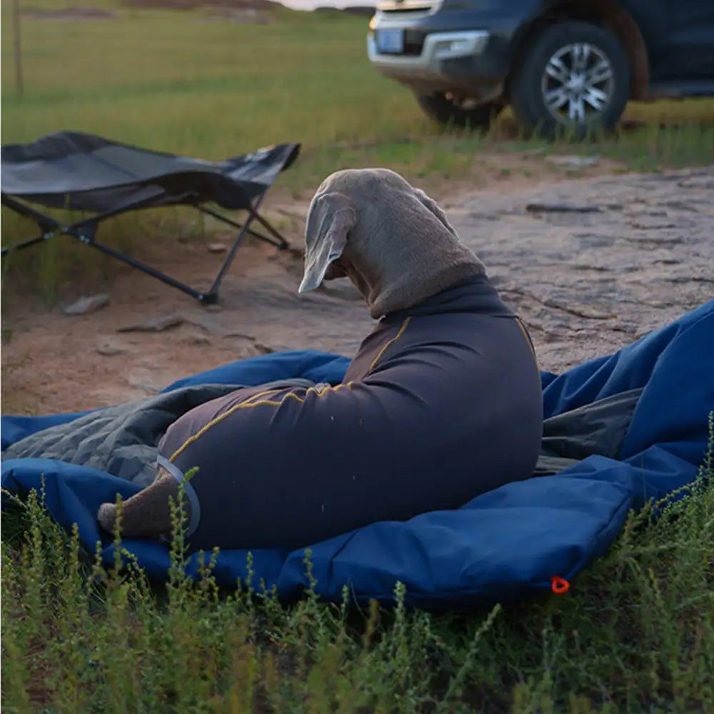 Outdoor Campsite Moisture-Proof And Waterproof Portable Dog Bed Mat