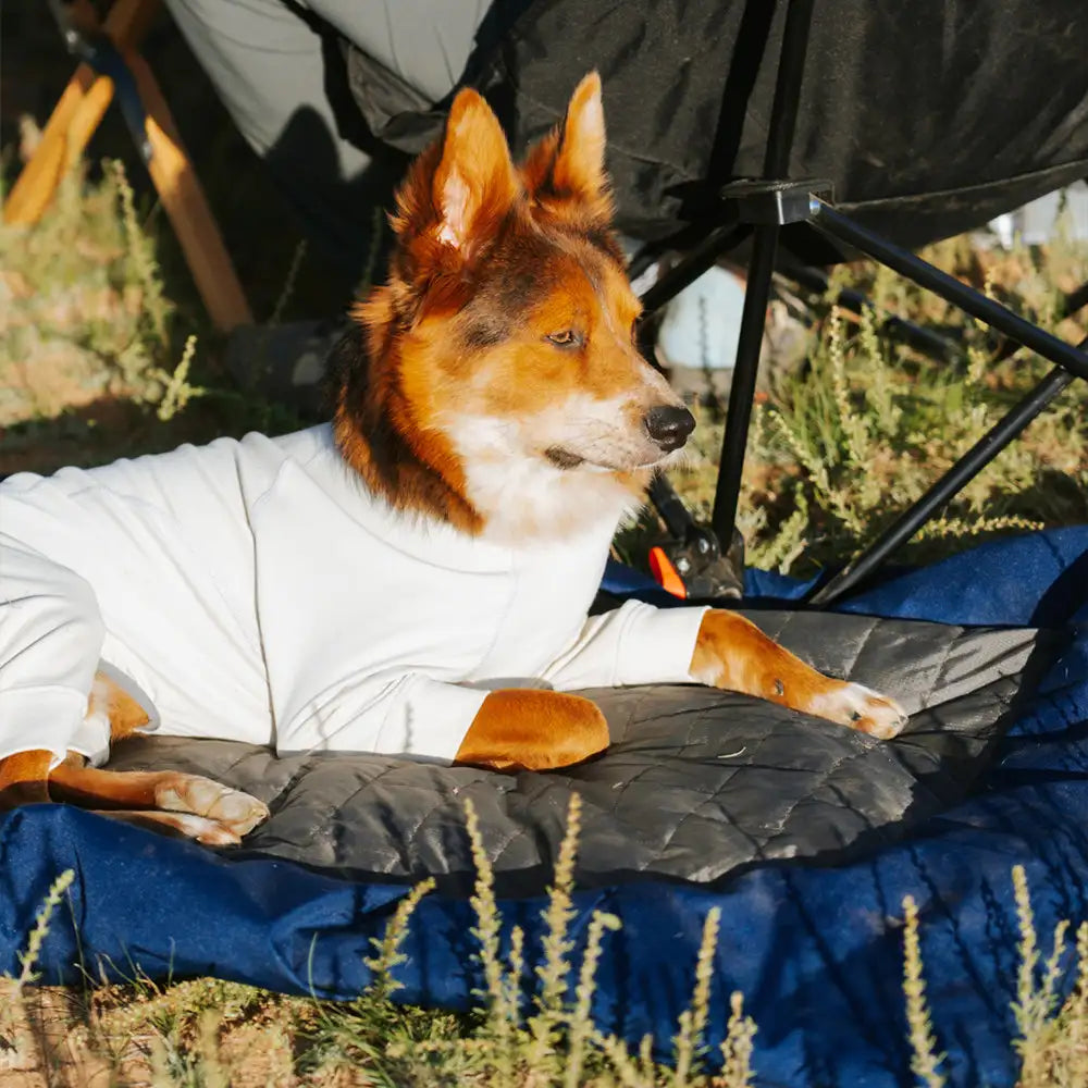 Outdoor Campsite Moisture-Proof And Waterproof Portable Dog Bed Mat