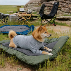 Outdoor Campsite Moisture-Proof And Waterproof Portable Dog Bed Mat