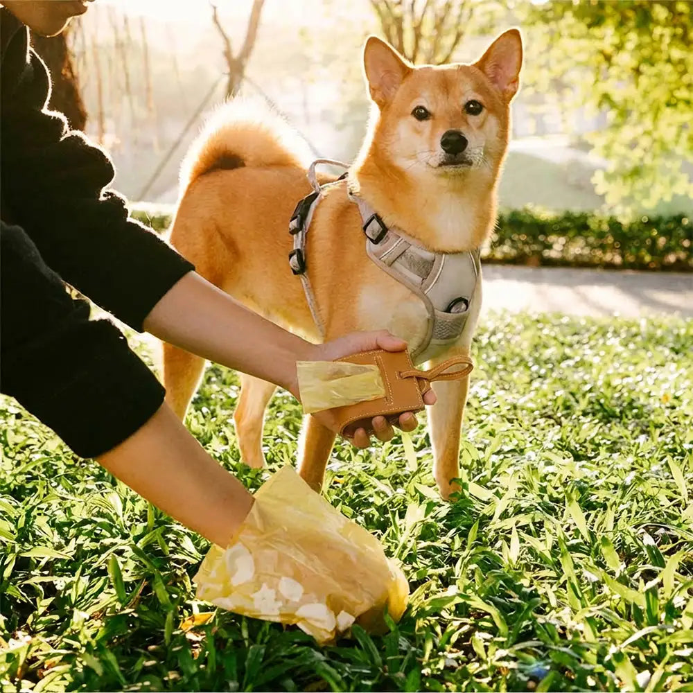 PU Leather Dog Poop Bag Dispenser