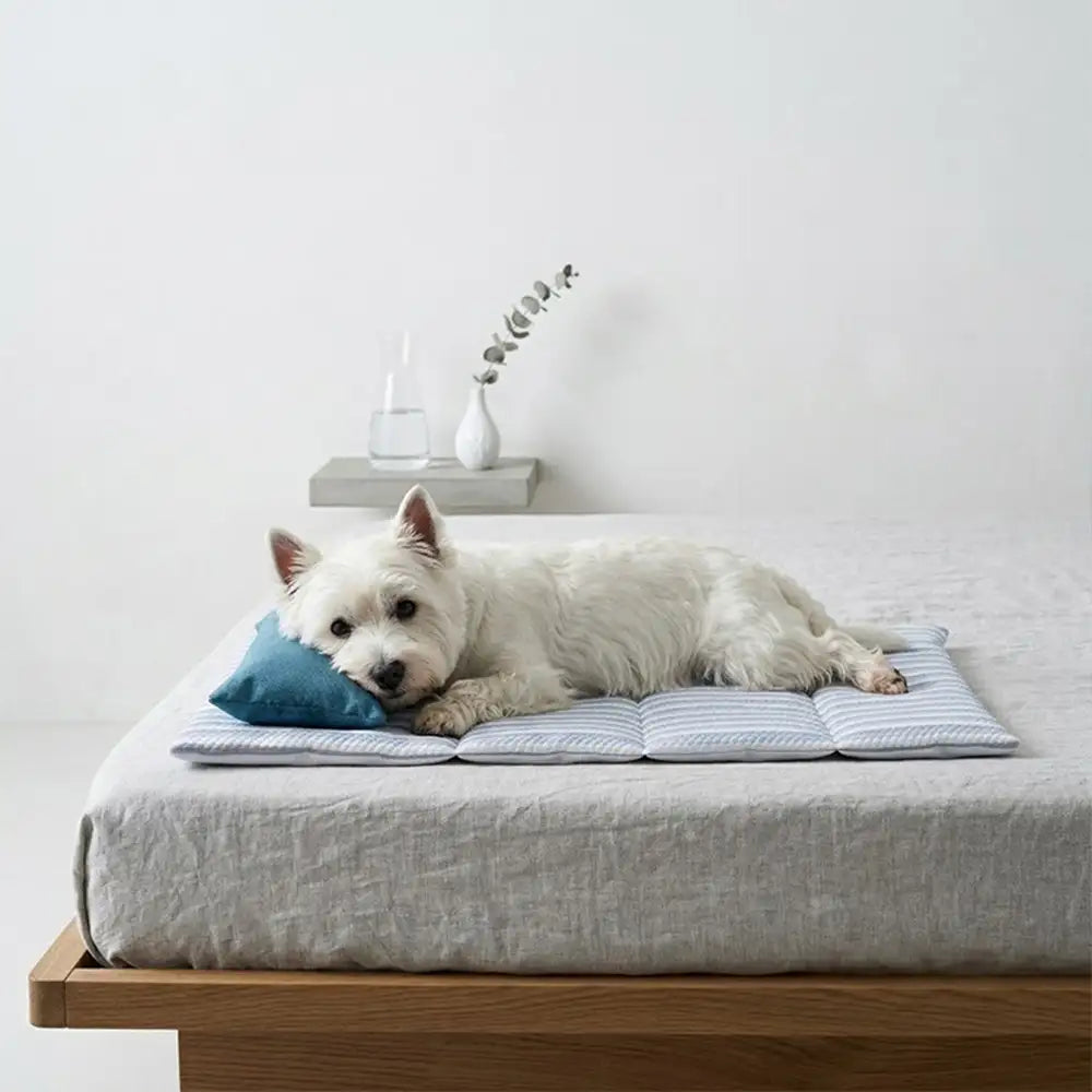Refreshing Striped Cooling Ice Silk Non-Slip Dog Mat Bed with Pillow
