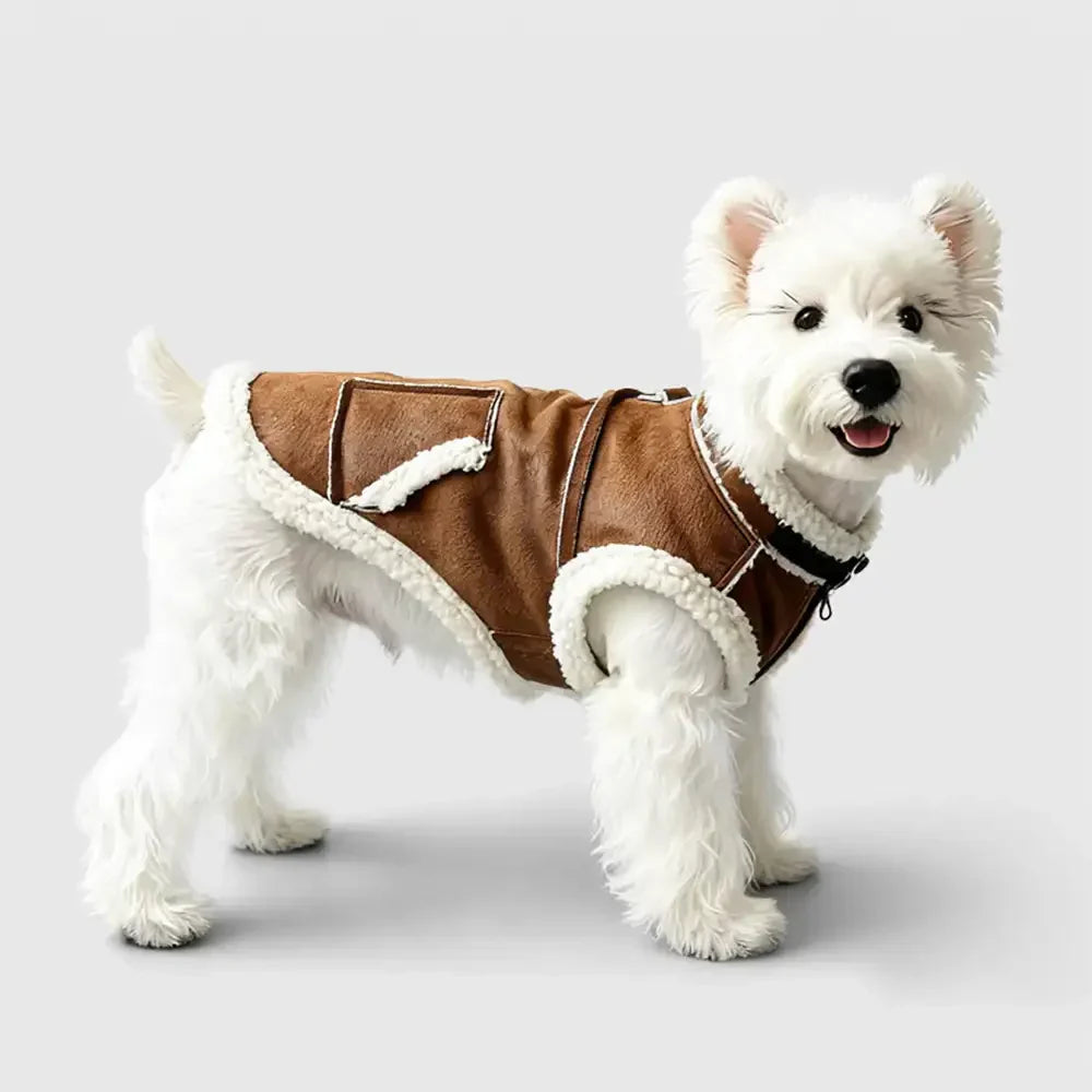 Retro Suede Dachshund Dog Jumper Dog Clothes