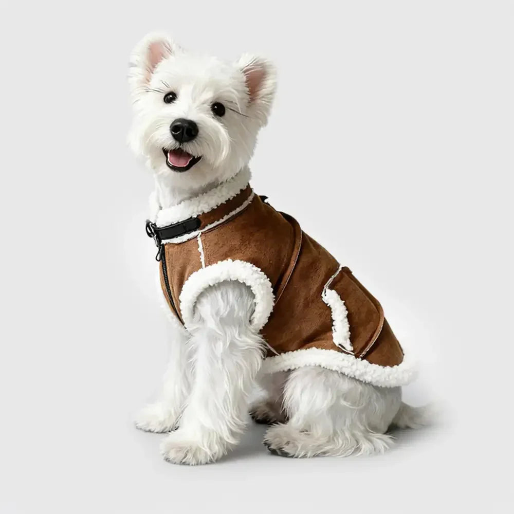 Retro Suede Dachshund Dog Jumper Dog Clothes