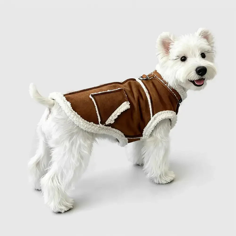 Retro Suede Dachshund Dog Jumper Dog Clothes