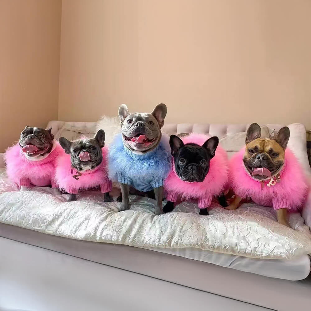 Soft Fluffy Fashion Luxurious Dog Clothes Turtleneck Knit Dog Jumper