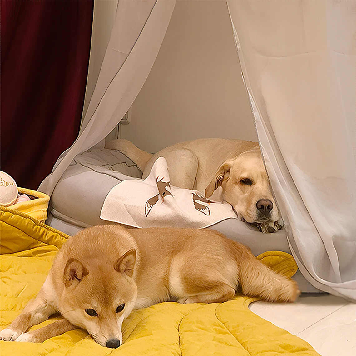 Calming Leaf Shape Dog Blanket With Donut Dog Bed