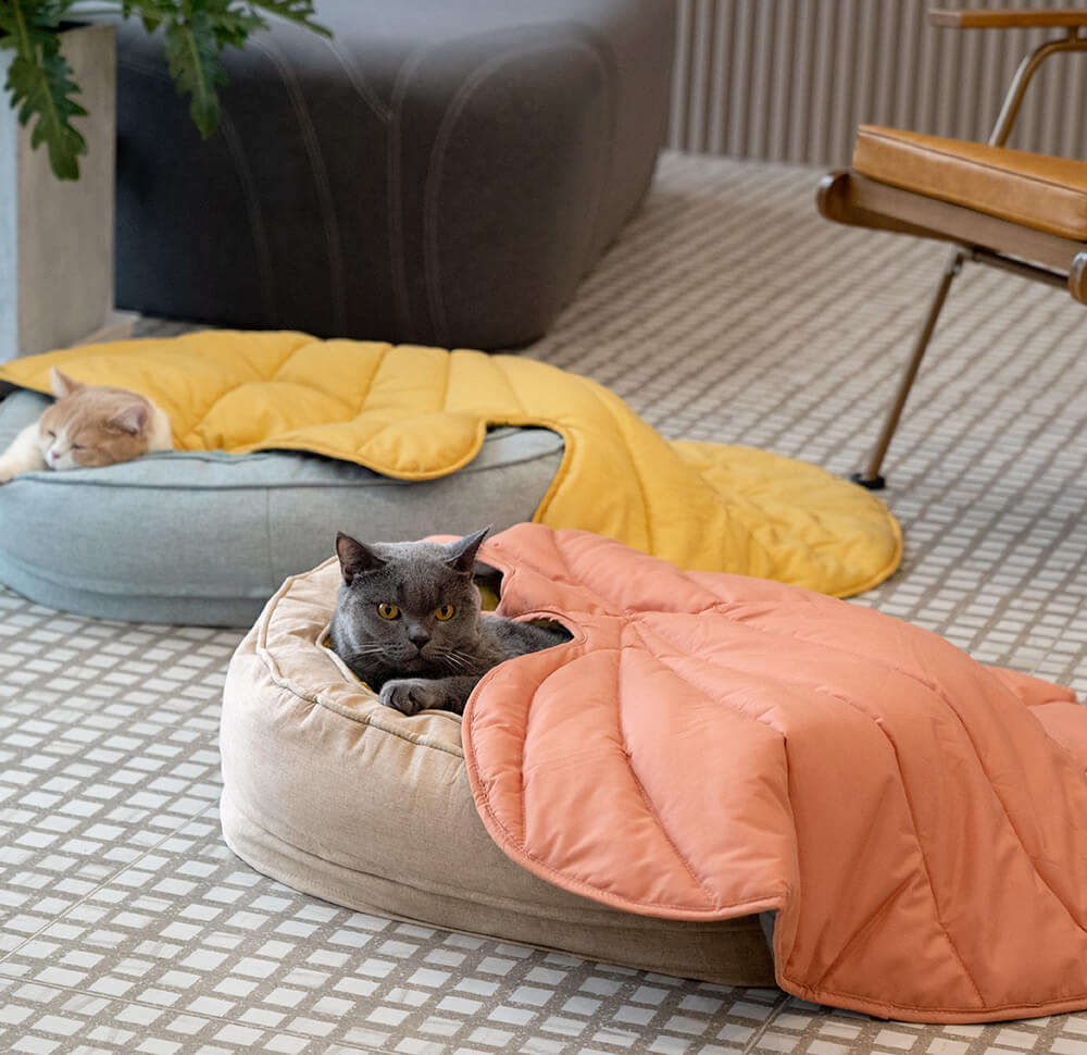 Calming Leaf Shape Dog Blanket With Donut Dog Bed
