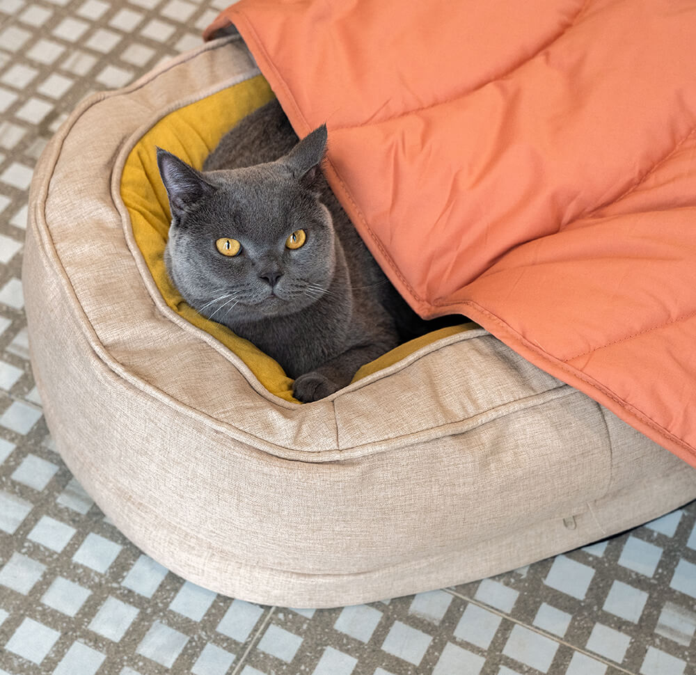 Calming Leaf Shape Dog Blanket With Donut Dog Bed