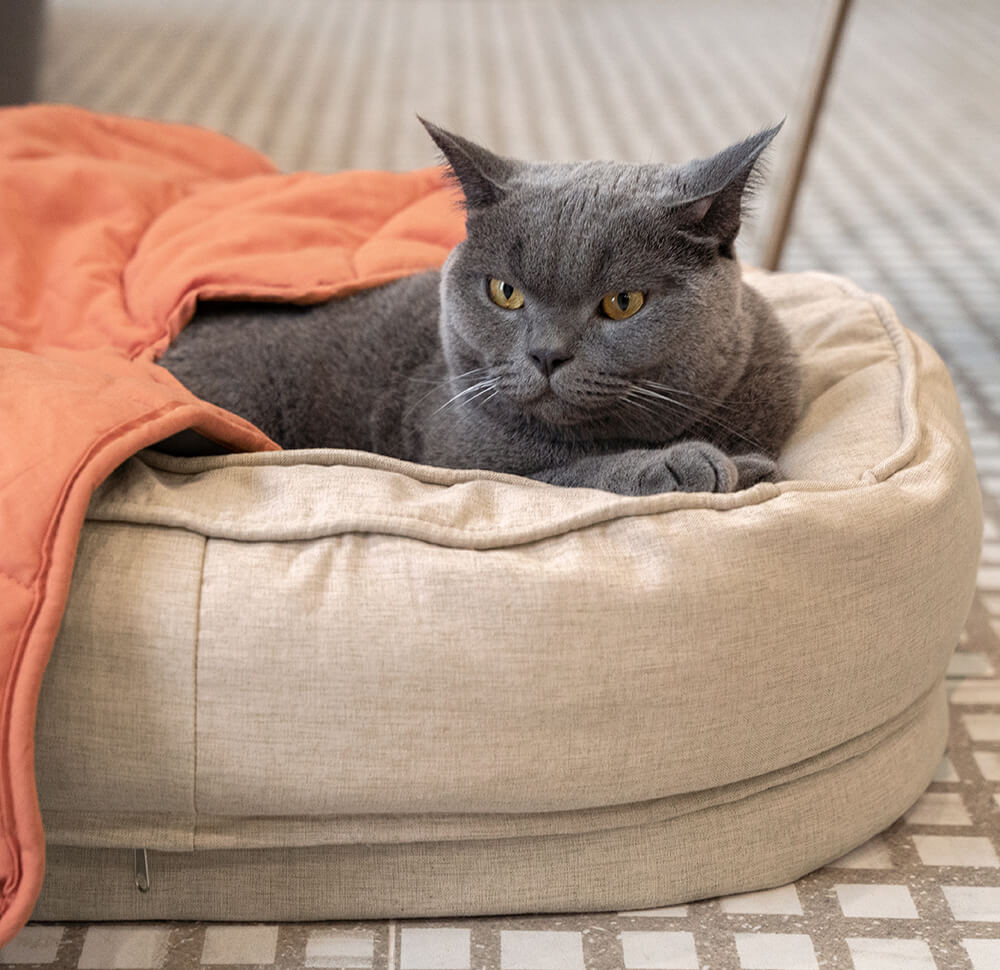 Calming Leaf Shape Dog Blanket With Donut Dog Bed