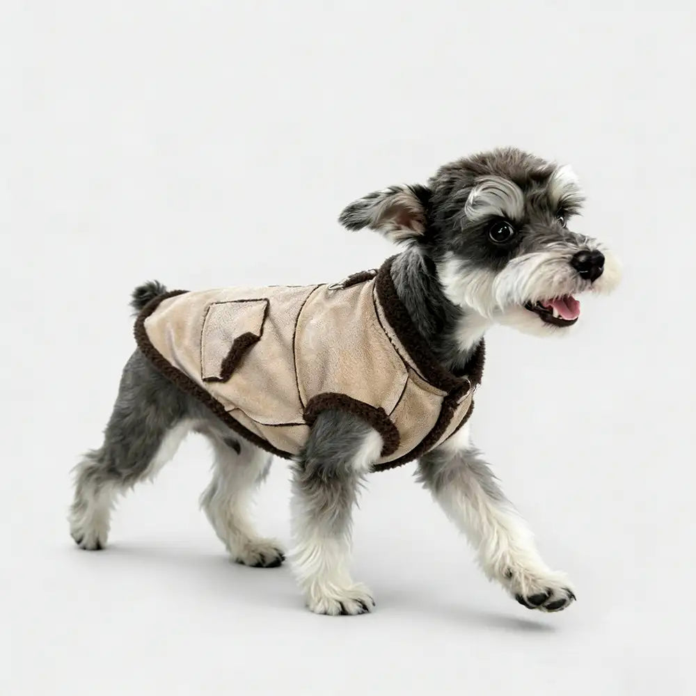 Retro Suede Dachshund Dog Jumper Dog Clothes