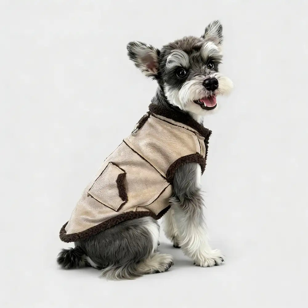 Retro Suede Dachshund Dog Jumper Dog Clothes