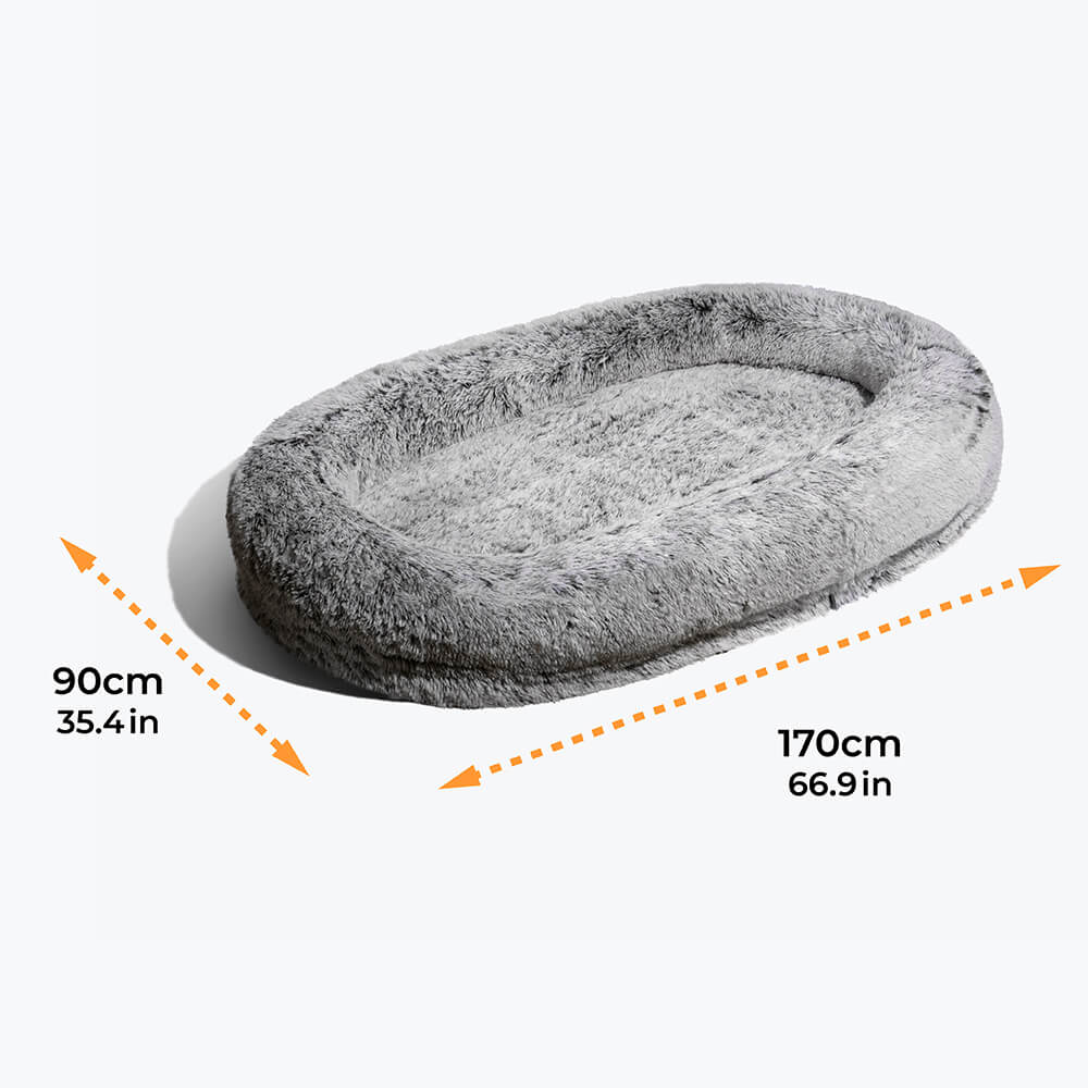 Donut Orthopaedic Dog Bed - Home Office