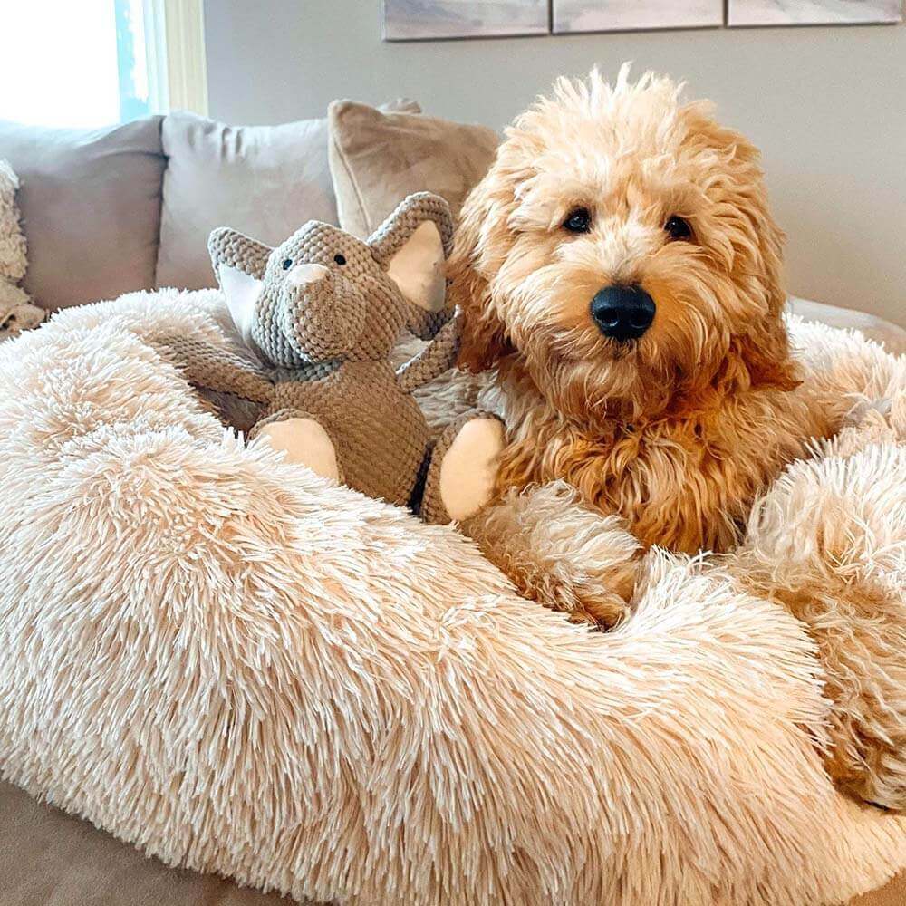 Dog Bed - Fuzzy Round