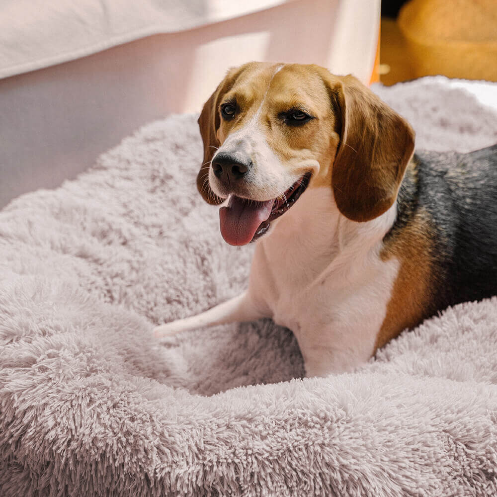 Dog Bed - Fuzzy Round