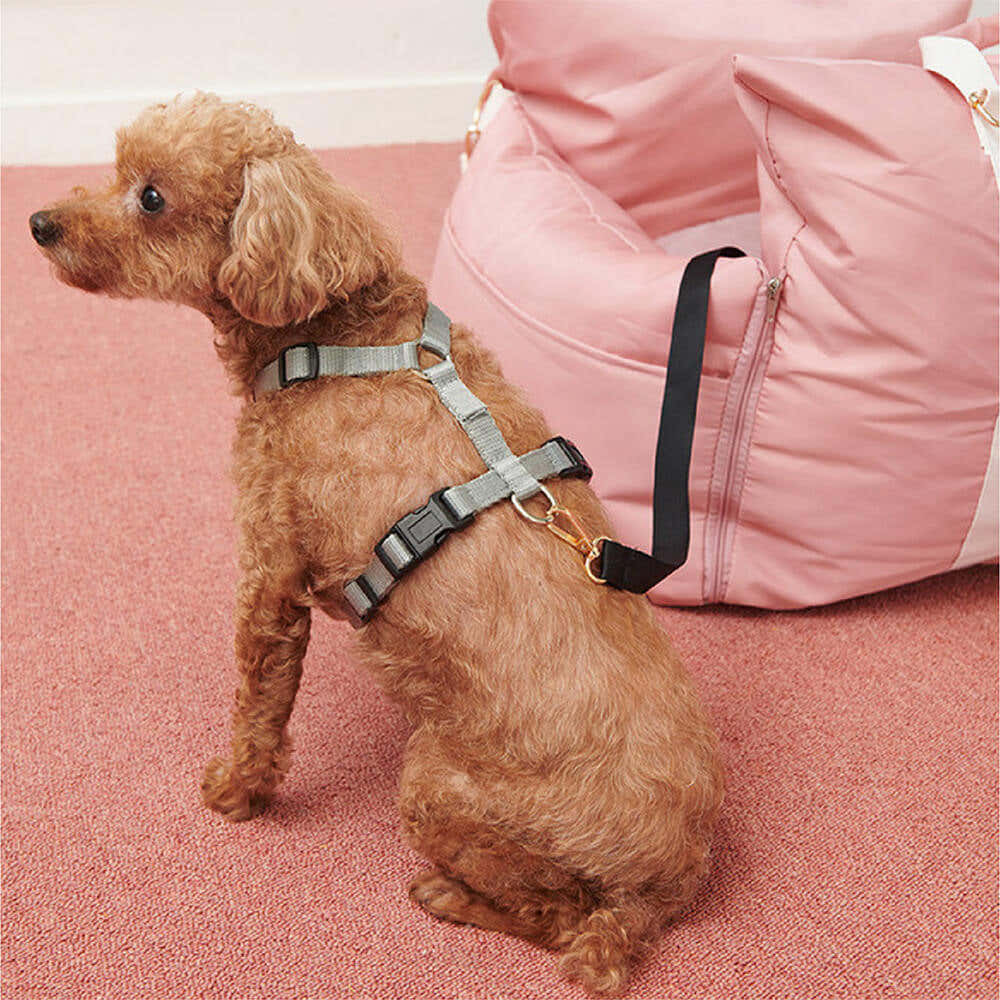 Waterproof ISOFIX Dog Car Seat Bed - First Class