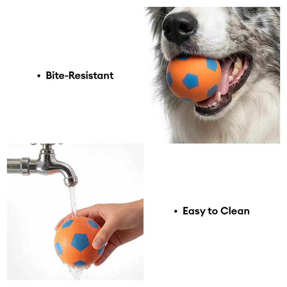 Funny High Elasticity Floating Football Dog Toy