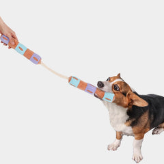 Funny Interactive Puzzle Treat Dispenser Squeaky Dog Toy