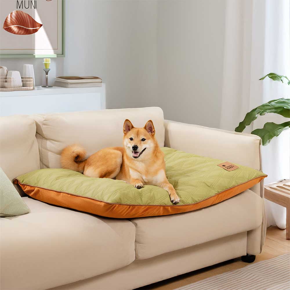 Luxury Water-repellent Dual-Sided Calming Dog Mat Bed