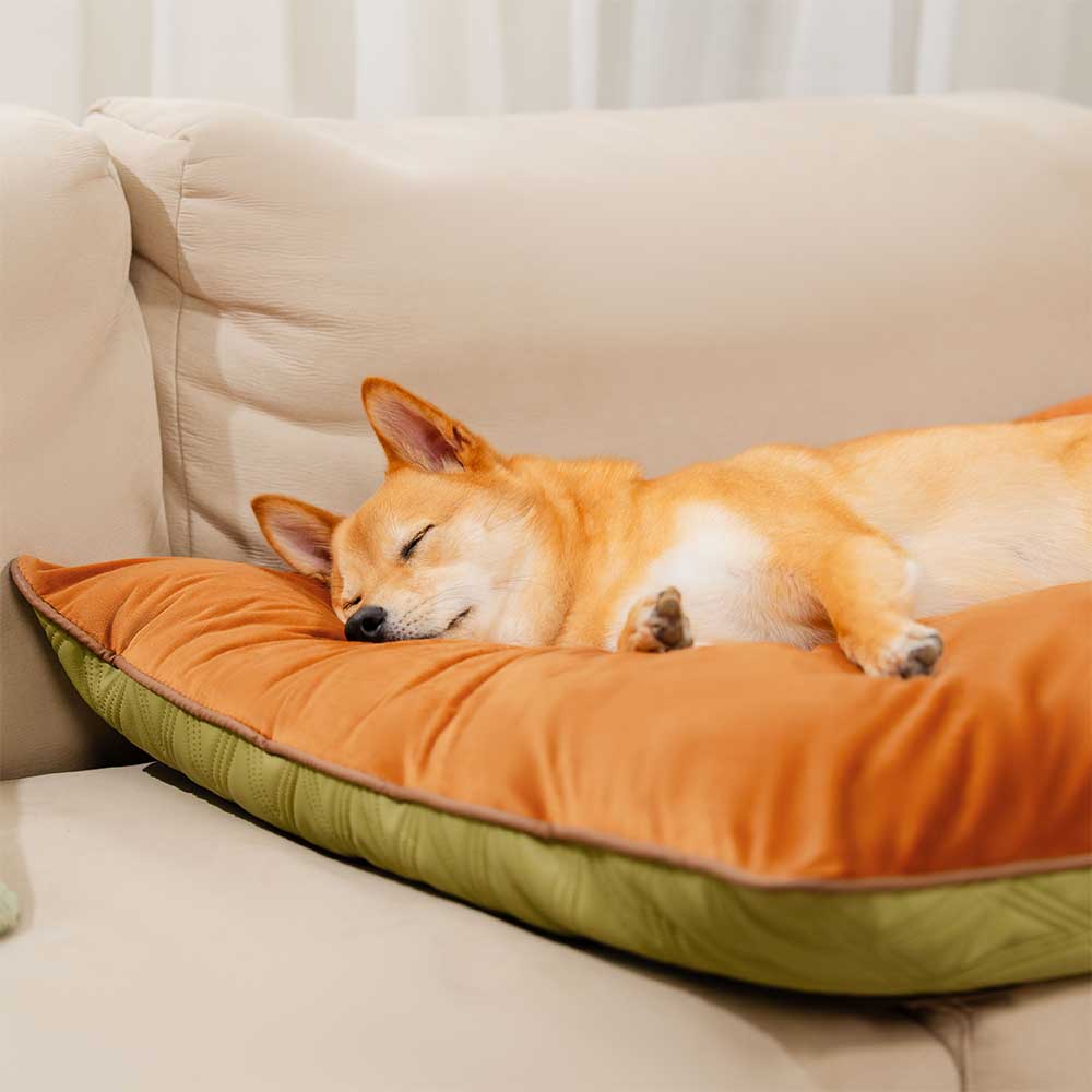 Luxury Water-repellent Dual-Sided Calming Dog Mat Bed