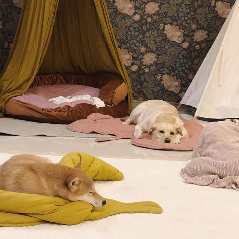 Calming Dog Blanket - Leaf Shape