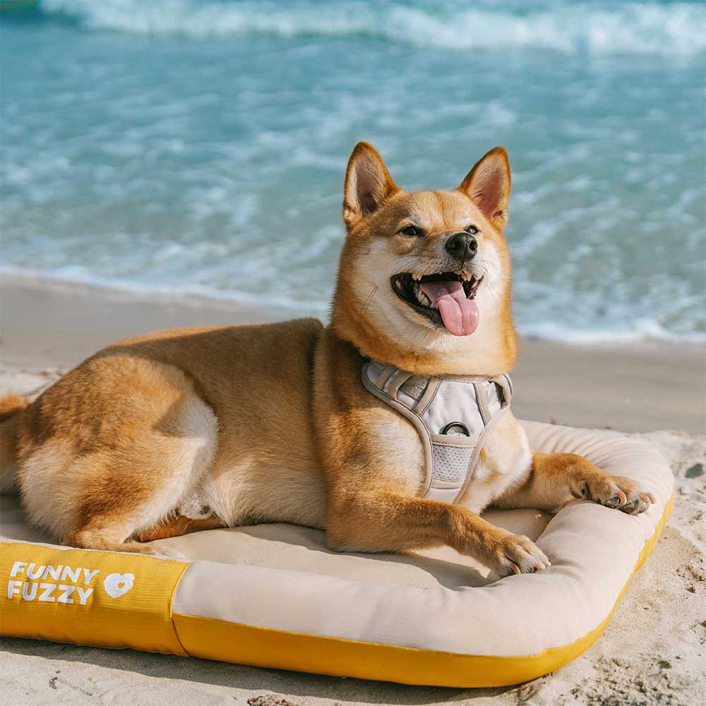 Outdoor Waterproof & Scratch-Resistant Colour-blocked Orthopaedic Dog Bed Dog Mat - Trek Lounge