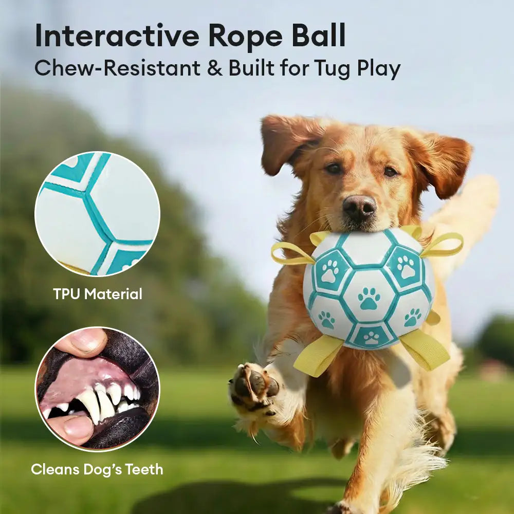 Paw Print Soccer Ball Dog Chew Toy With Straps