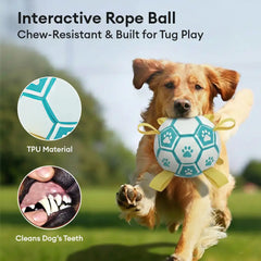 Paw Print Soccer Ball Dog Chew Toy With Straps
