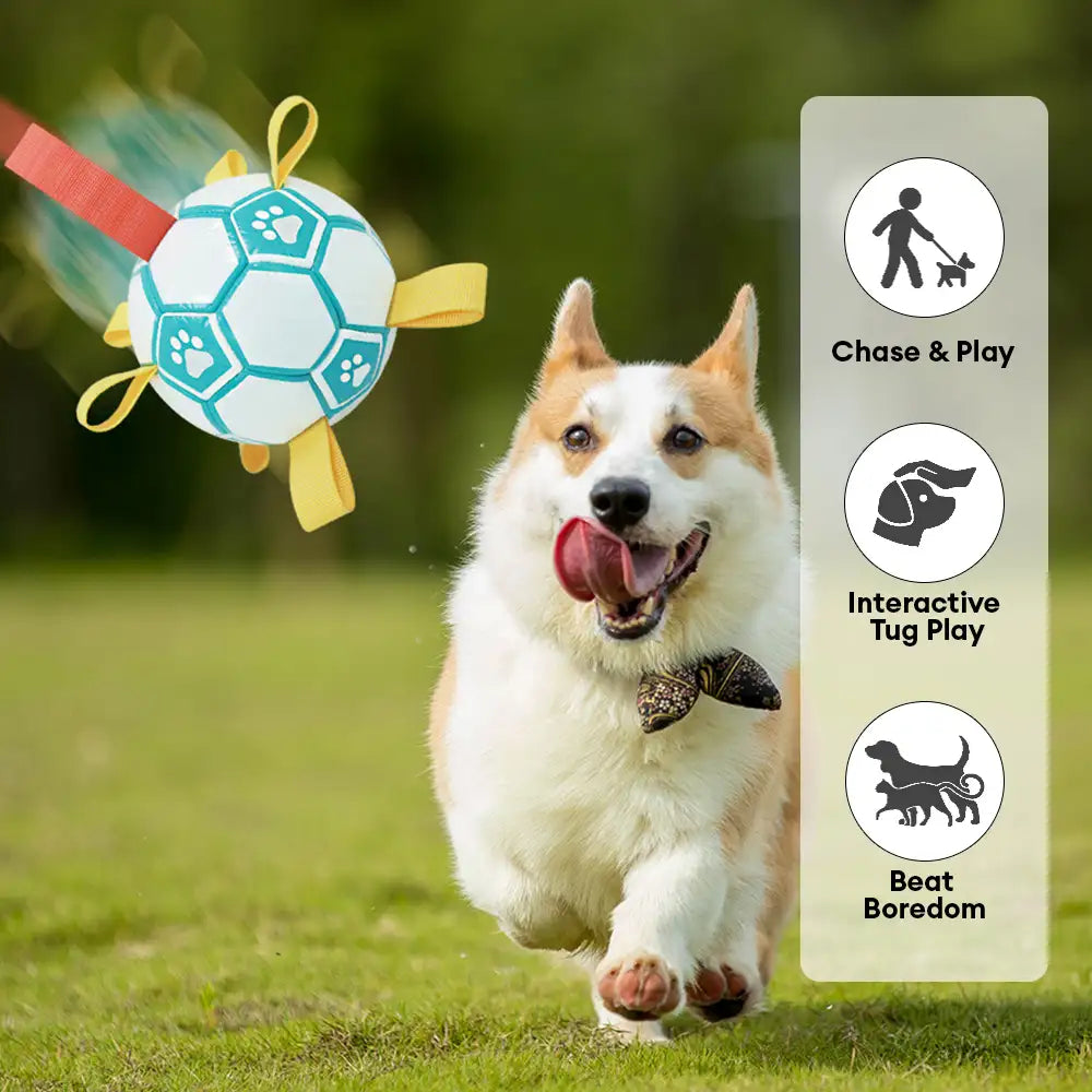 Paw Print Soccer Ball Dog Chew Toy With Straps