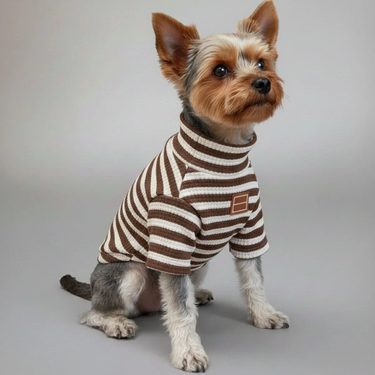 Plaid Baseball Dog Jacket – Sporty and Stylish Outerwear for Dogs Dog Clothes